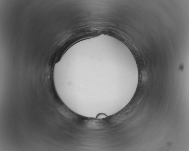 X0000116790567201001081316