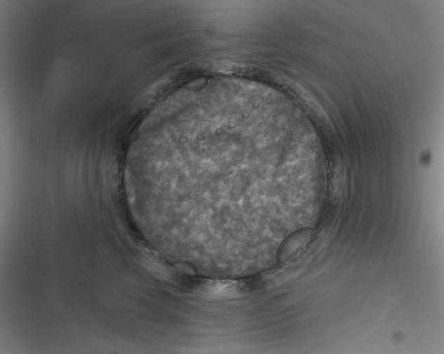 X0000116790569201001081316