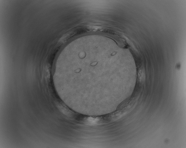 X0000116790570201001081316