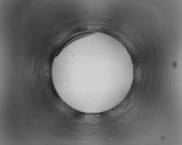 X0000116790571201001081316