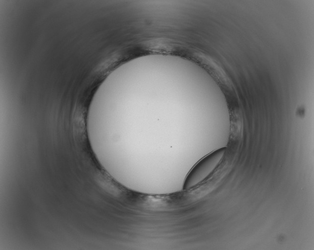 X0000116790573201001081316