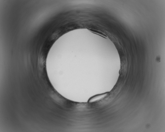 X0000116790574201001081316