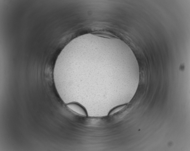 X0000116790575201001081316