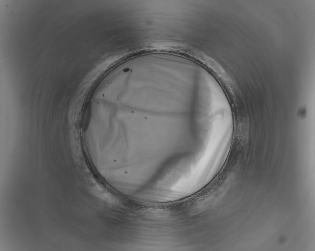 X0000116790577201001081315