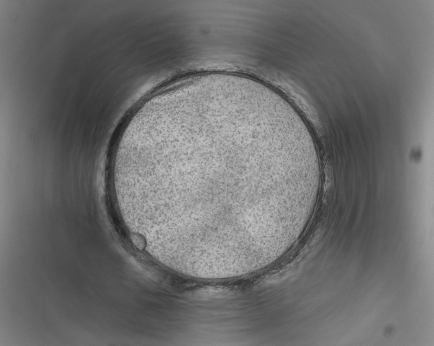 X0000116790578201001081315