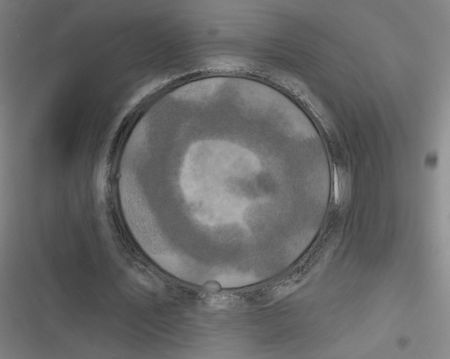 X0000116790579201001081315