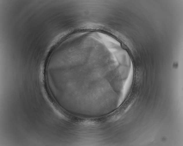 X0000116790581201001081315