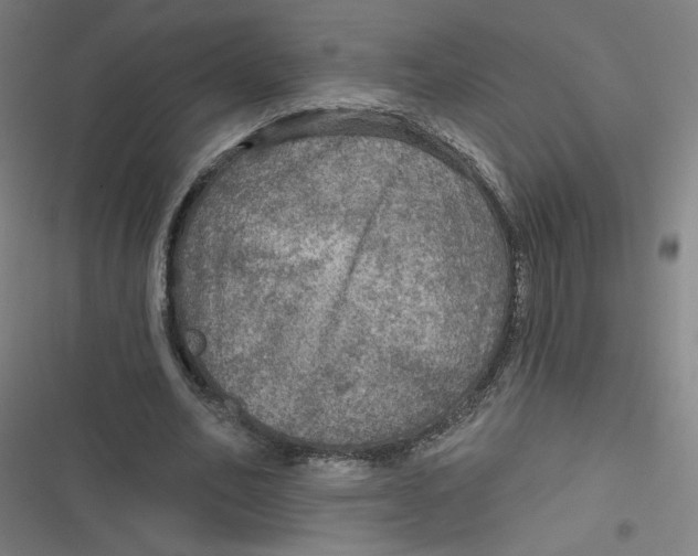 X0000116790582201001081315