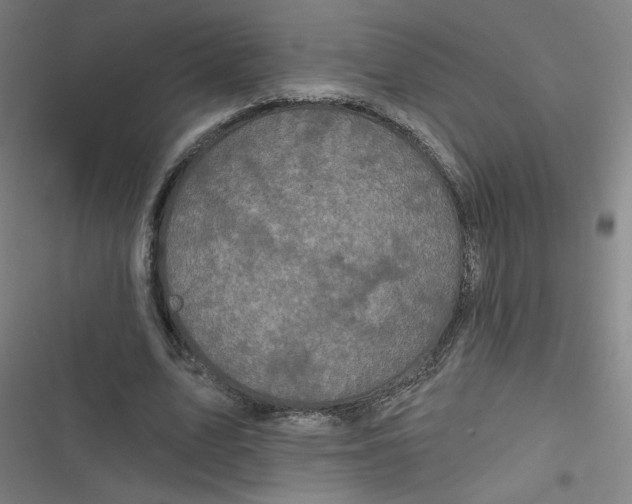 X0000116790583201001081315