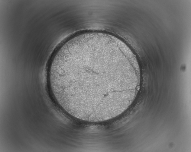 X0000116790584201001081315