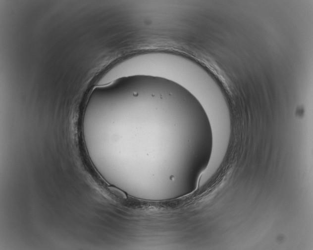 X0000116790585201001081315