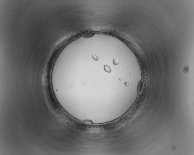 X0000116790587201001081315