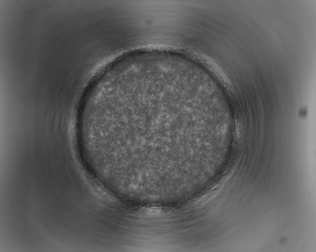 X0000116790588201001081315