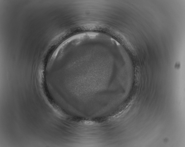 X0000116790590201001081315