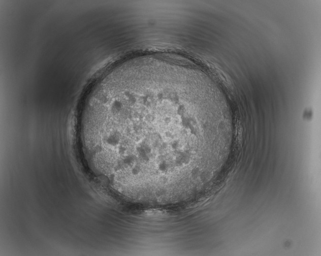 X0000116790591201001081315