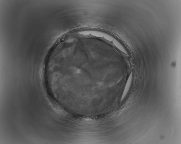 X0000116790592201001081315