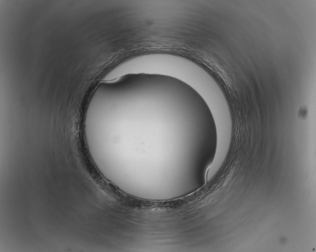 X0000116790593201001081315