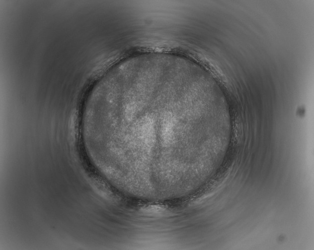 X0000116790594201001081315