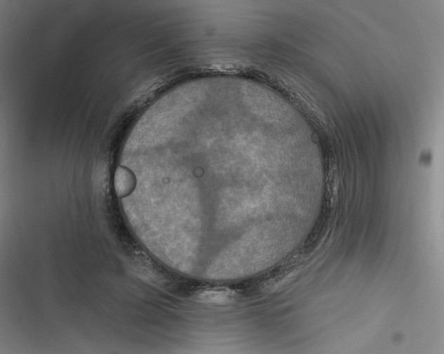 X0000116790595201001081315