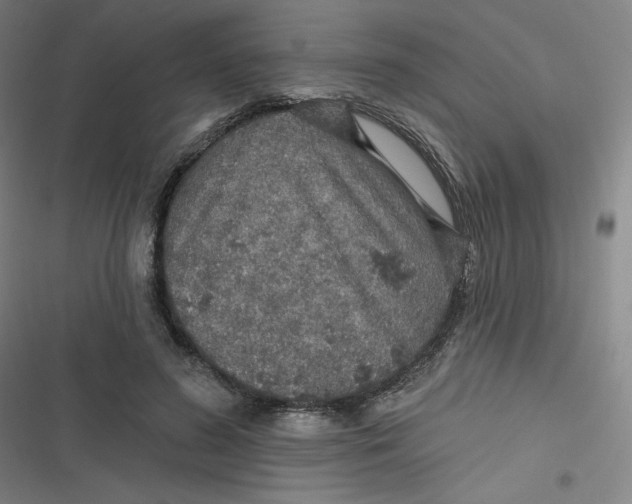 X0000116790596201001081315