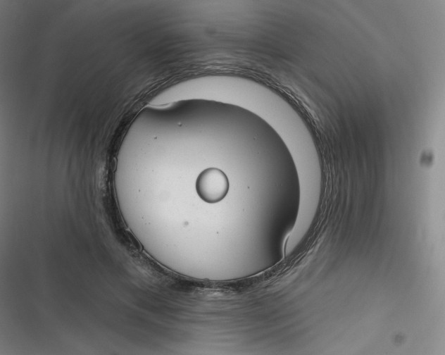 X0000116790597201001081315