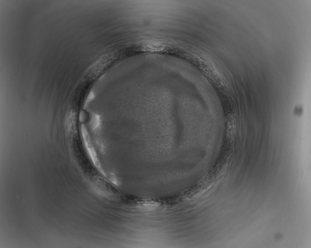 X0000116790598201001081315