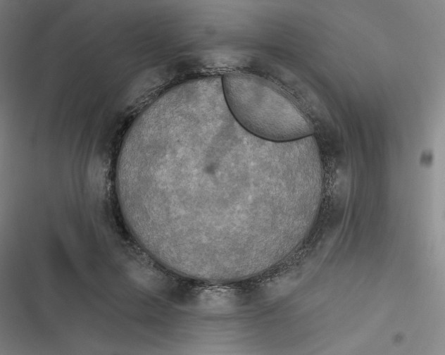 X0000116790599201001081315