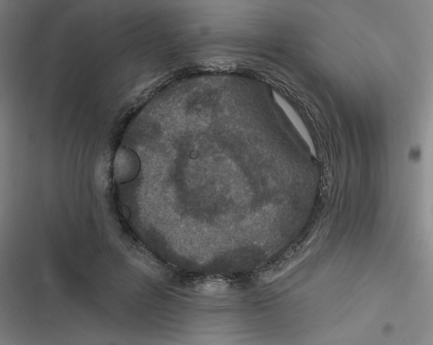 X0000116790600201001081315