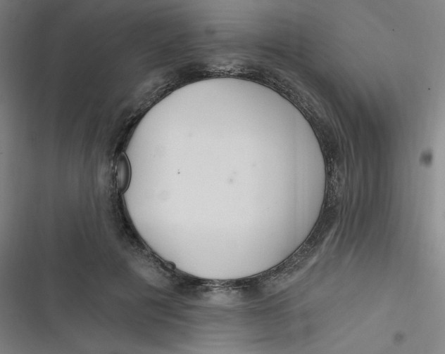 X0000116790601201001081315