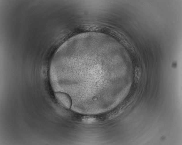 X0000116790602201001081315