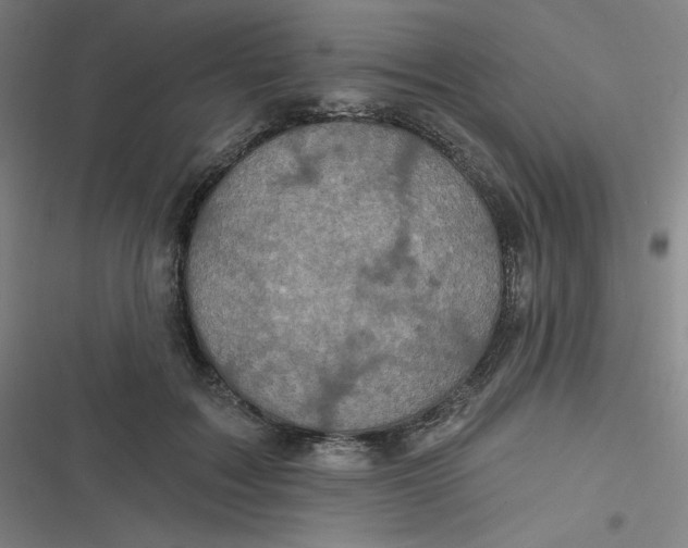 X0000116790603201001081315