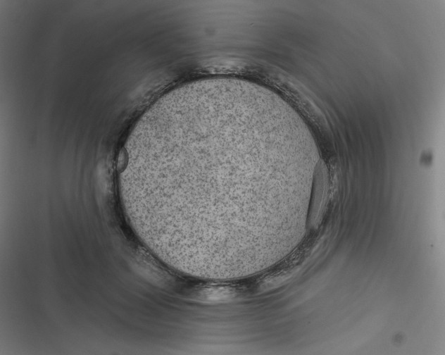 X0000116790604201001081315