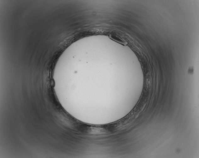 X0000116790605201001081315