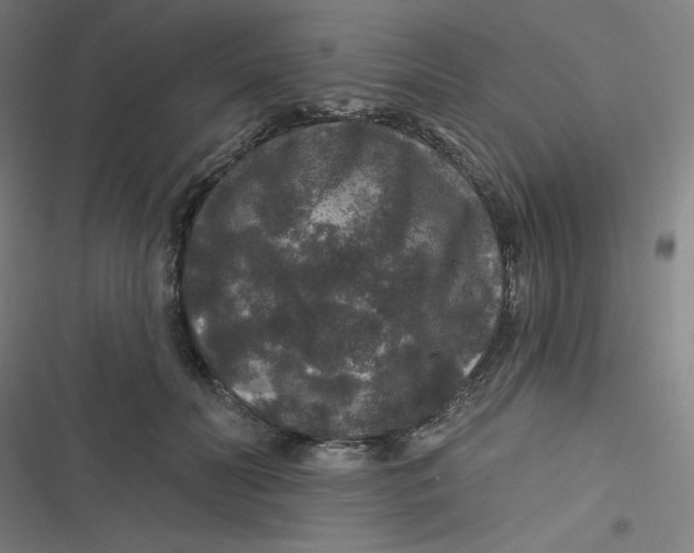 X0000116790606201001081315