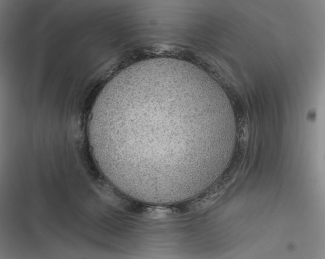 X0000116790607201001081315