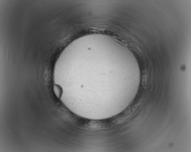 X0000116790608201001081315