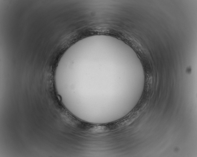 X0000116790609201001081315