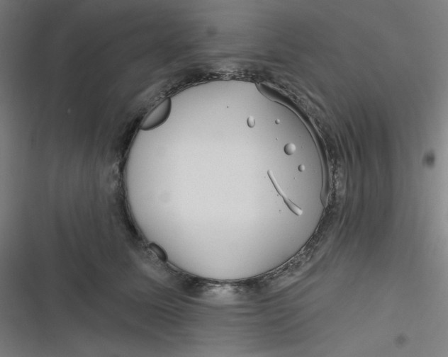 X0000116790611201001081315