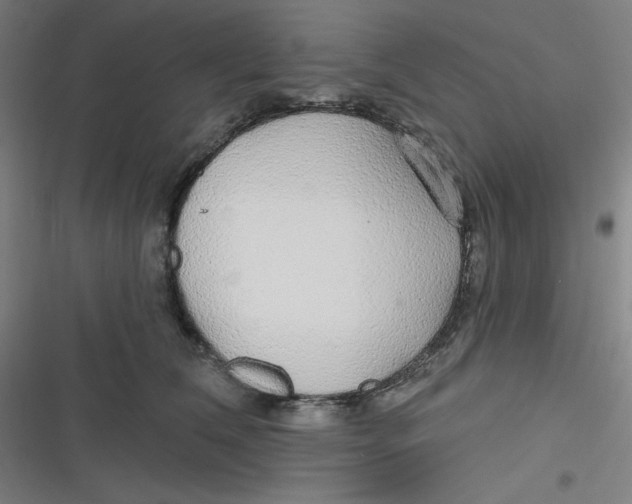 X0000116790612201001081315