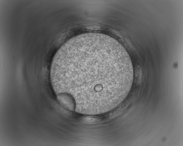 X0000116790614201001081315