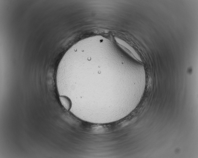 X0000116790616201001081315