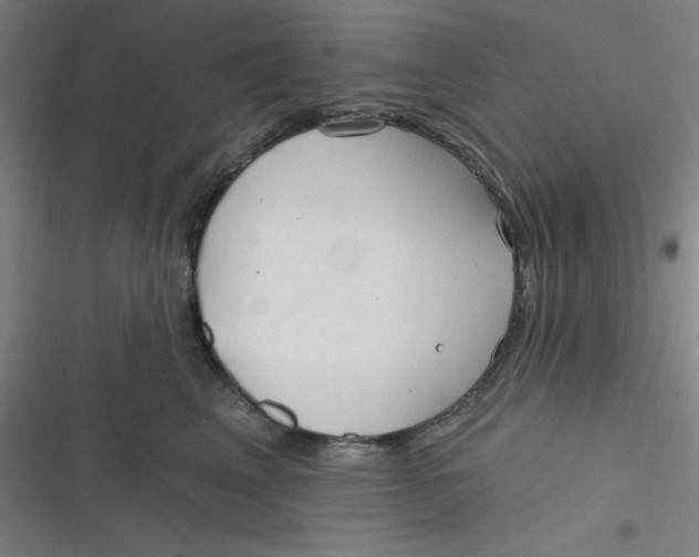 X0000116790617201001081315