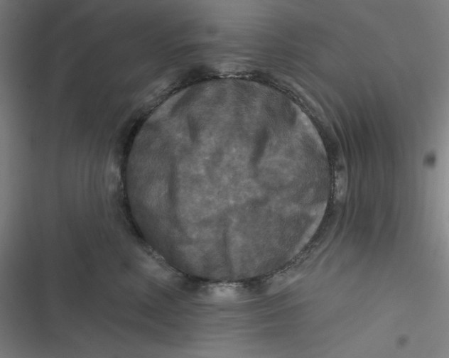 X0000116790618201001081315