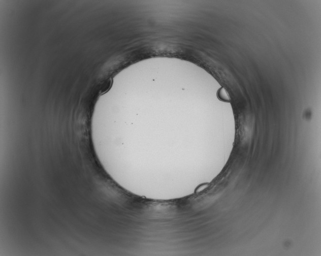 X0000116790619201001081315