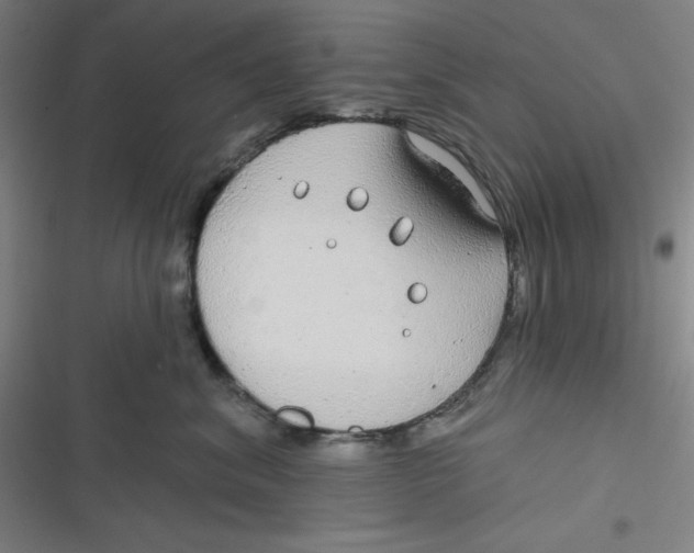 X0000116790620201001081315