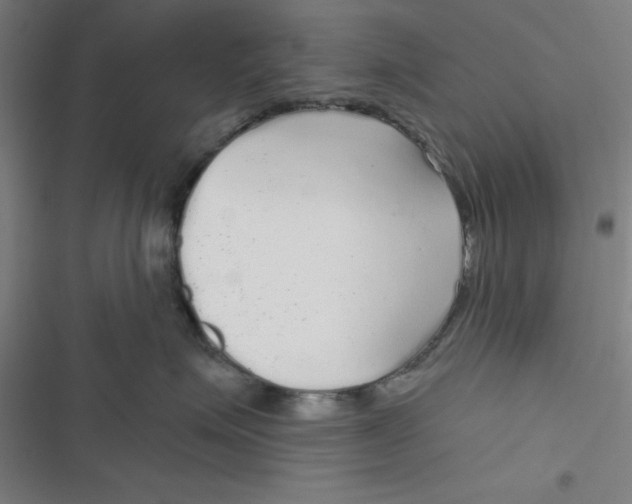 X0000116790623201001081315