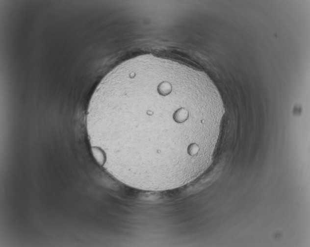 X0000116790624201001081315