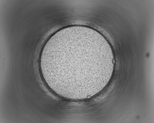 X0000116790625201001081314