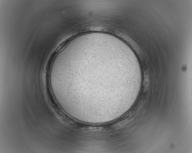 X0000116790626201001081314