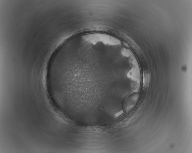 X0000116790627201001081314